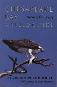 Chesapeake Bay: Nature of the Estuary by Christopher White