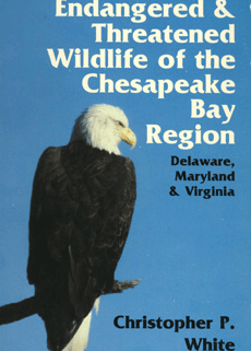 Wildlife of the Chesapeake Bay