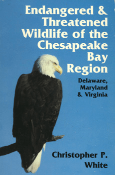 Wildlife of the Chesapeake Bay